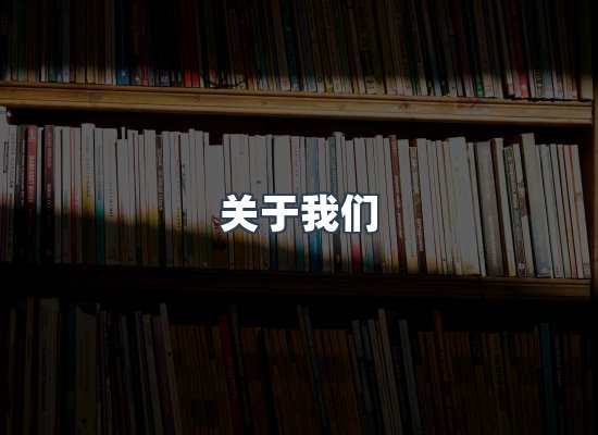 专业团队
